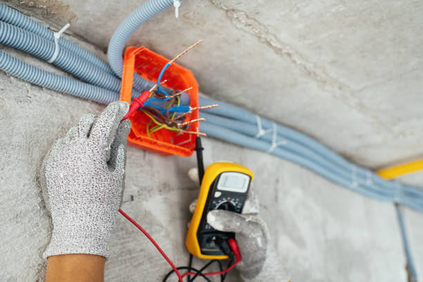Best Ceiling Fan Installation Electrician  in Chehalis, WA